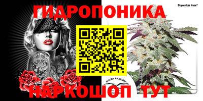 COCAINE Гай
