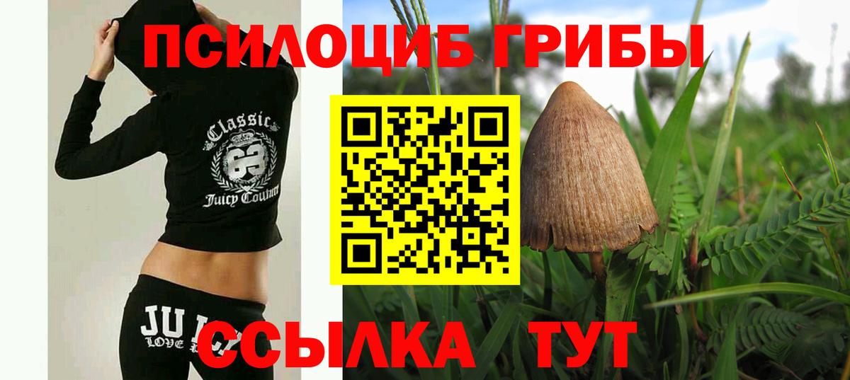 Гусь-Хрустальный  Галлюциногенные грибы Magic Shrooms  Вход с VPN 